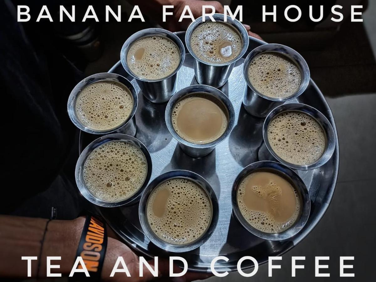 Banana Farm House 함피 외부 사진