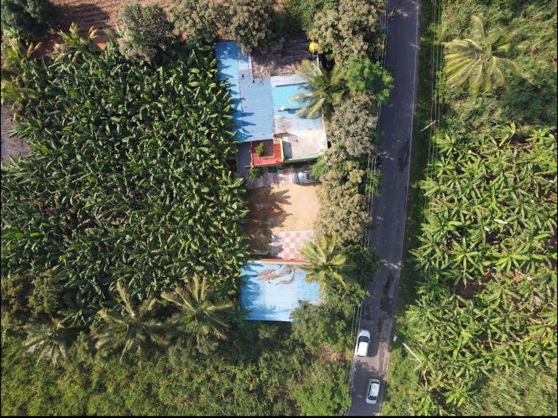 Banana Farm House 함피 외부 사진