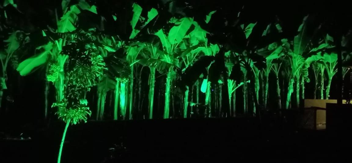 Banana Farm House 함피 외부 사진